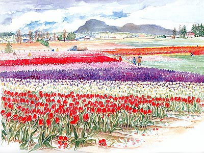 Skagit Valley in Bloom Limited Edition Print