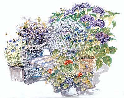 Hydrangeas Limited Edition Print